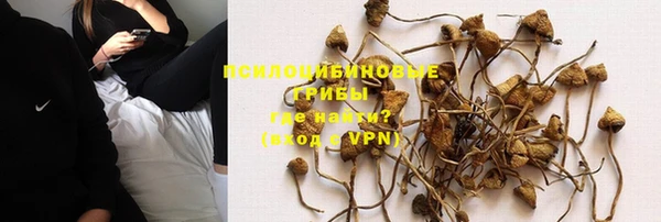 соль курить ск Верхний Тагил