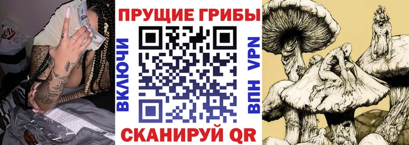 Псилоцибиновые грибы мицелий  дарнет шоп  Кирово-Чепецк 